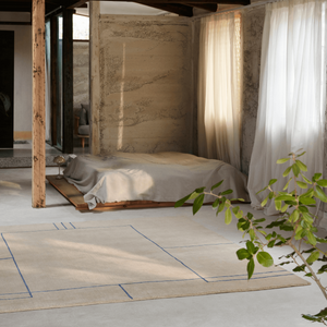 Cruise AP11 &Tradition Rug