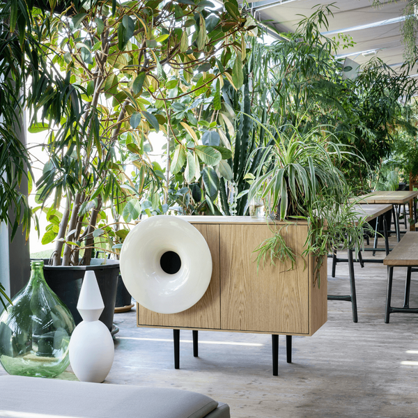 Caruso Miniforms stereo cabinet
