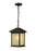 Holbrook Outdoor Chain Light