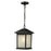 Holbrook Outdoor Chain Light