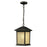 Holbrook Outdoor Chain Light