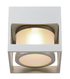 Cube-O Wall/Ceiling Light