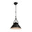 Brydon 1 Light Sconce/Pendant