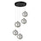 Rose 5 Light LED Chandelier Black