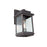 Freemont 1-Light Outdoor Wall Light