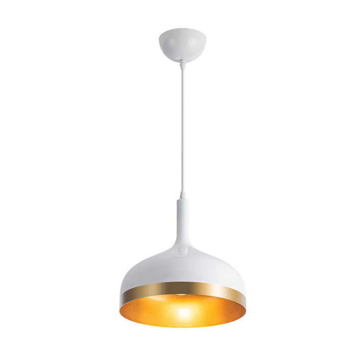 Dash Collection 1-Light Pendant