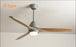 Nordic Creative Led Ceiling Fan Light Modern Three Color Change Living Room Restaurant Cafe Wooden Fan Lamp With Remote Control