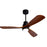 Modern Ceiling Fan With Solid Wood Blades