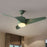 Nordic Loft LED Ceiling Fans Lights Living Room Restaurant Light Creative Retro Fan Lamp Hanging Light Fixtures Free Shipping