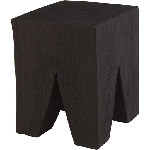 Congaree Suar Wood Side Table